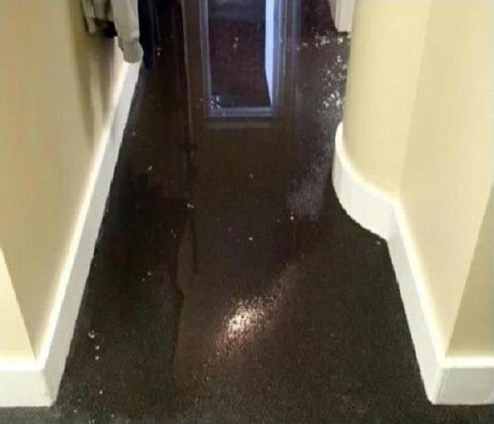 flood damage in local hallway 