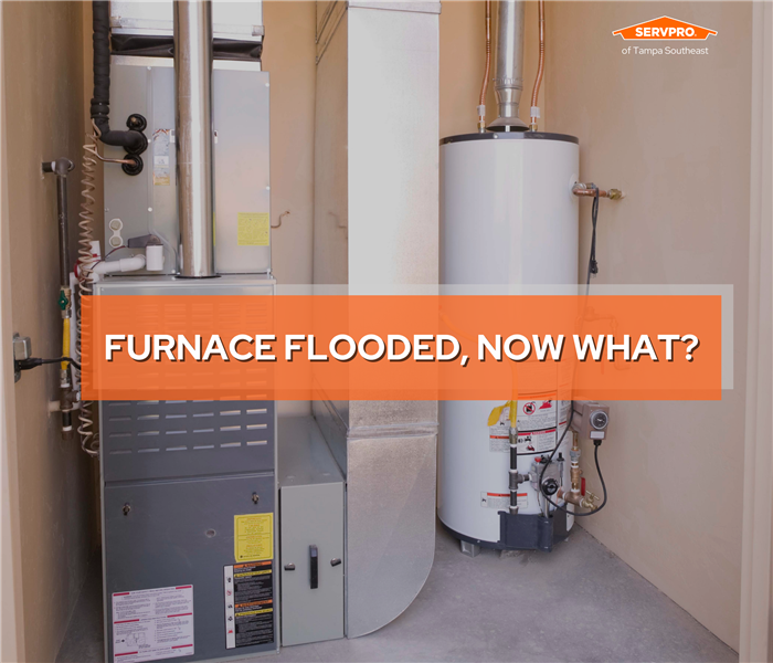 flooded furnace and water damage in Greater Carrollwood / Citrus Park near me
