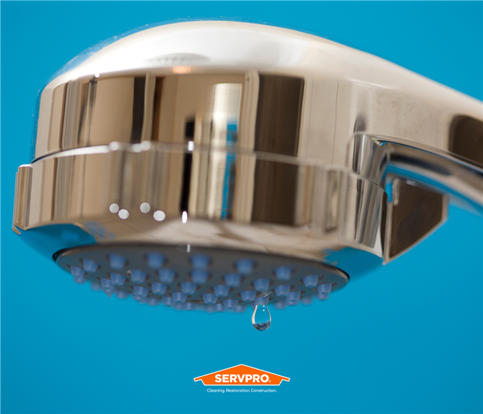 a blue wall with shower head leaky water, SERVPRO of Greater Carrollwood/Citrus Park logo