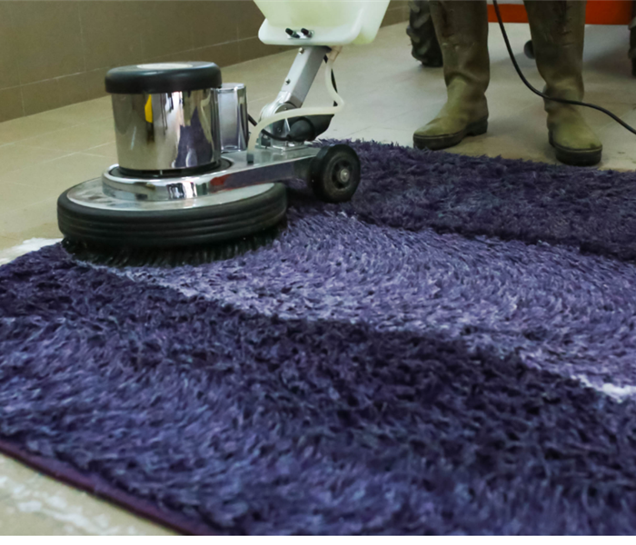 purple rug being cleaned with scrubber